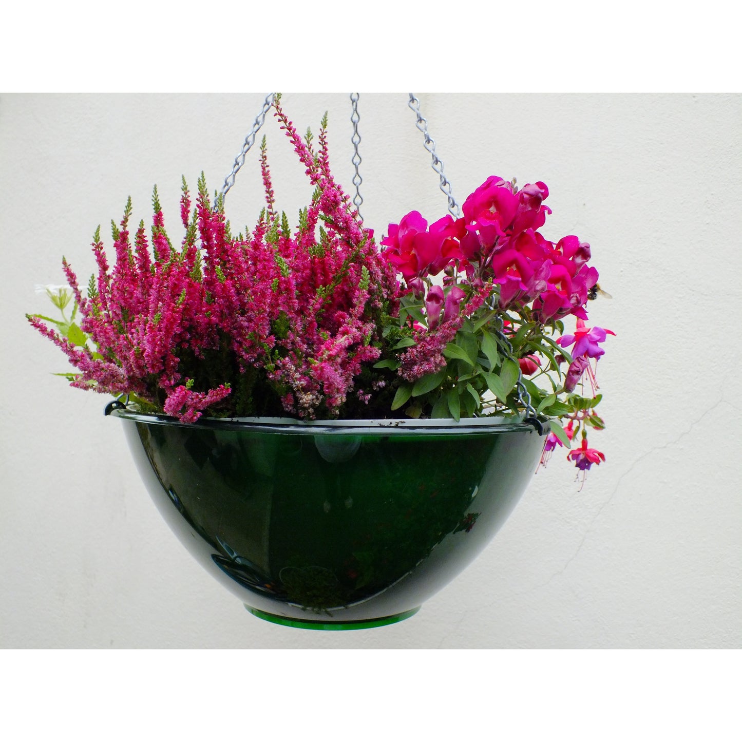 IBOP HYDRA SELF-WATERING HANGING BASKET