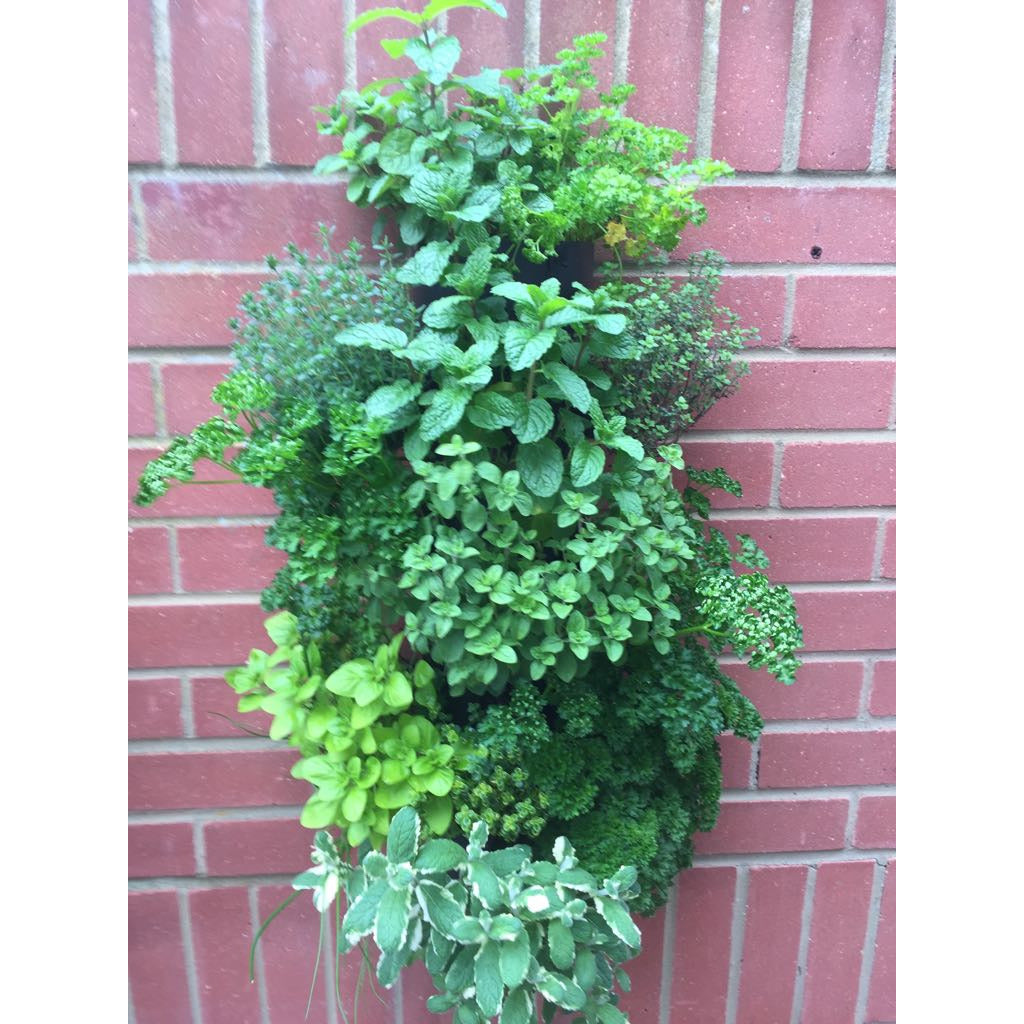 Wall Mounted Herb Tower