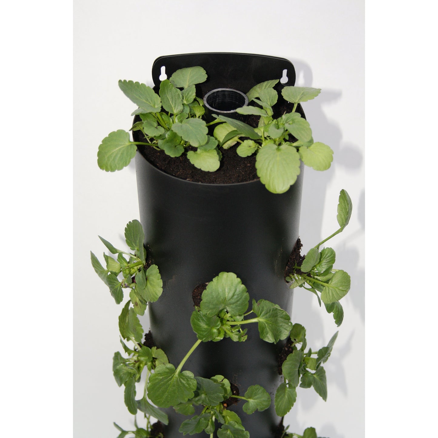 Wall Mounted Herb Tower