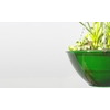 IBOP HYDRA SELF-WATERING HANGING BASKET