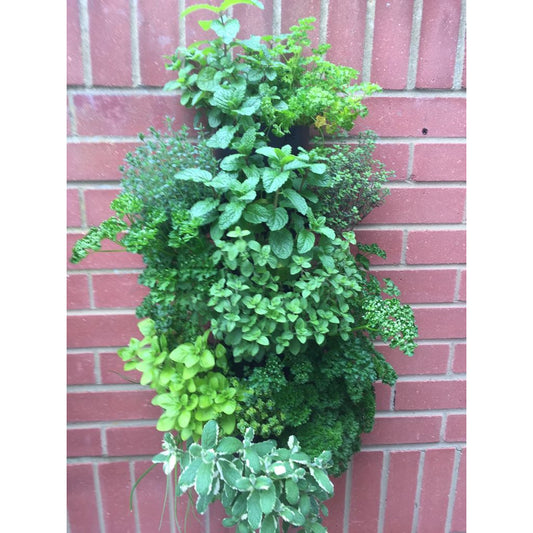 Wall Mounted Herb Tower